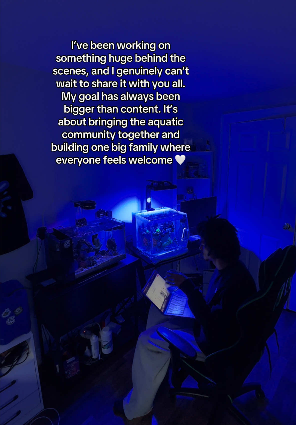 @ReefSync
