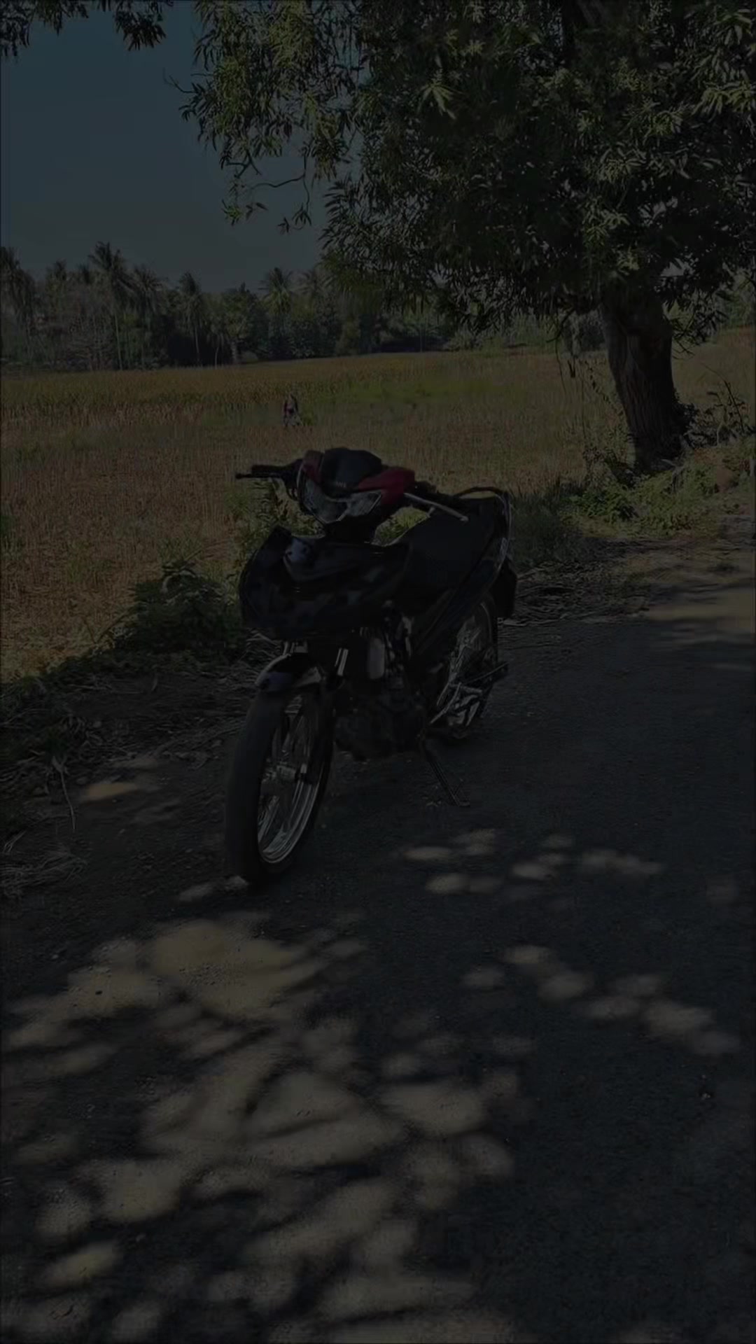 @Andhy