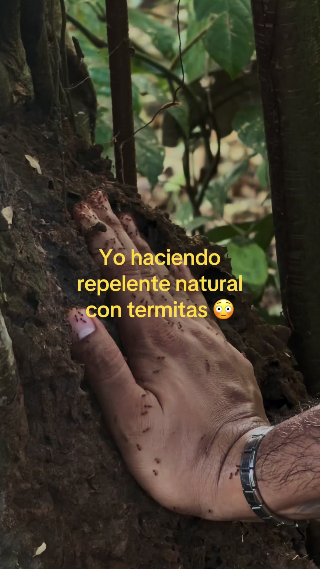 @hipsterlancer
