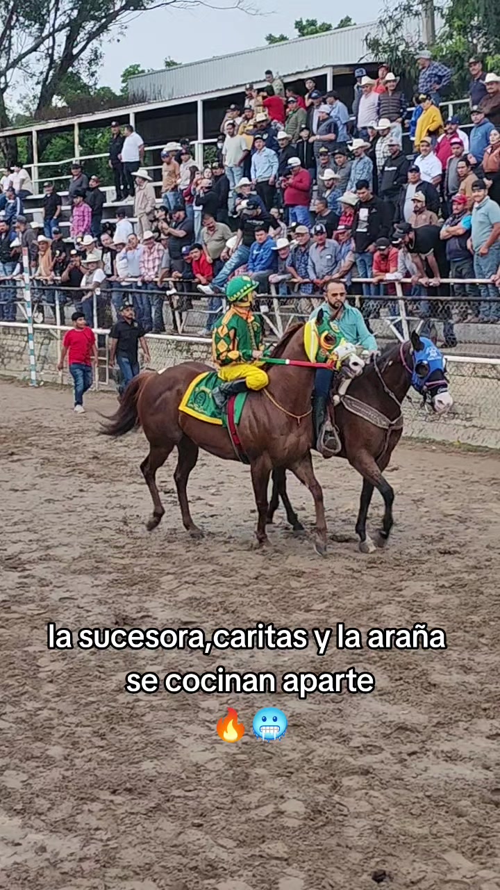 @carriles altos de jalisco🐎