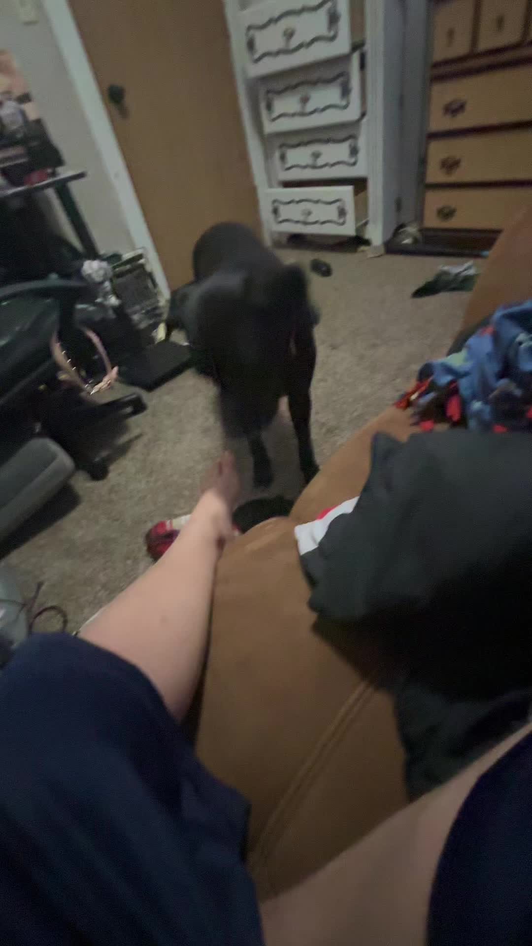 @caden836