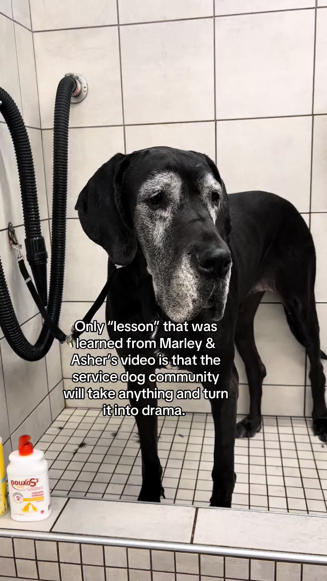 @ruffined.k9