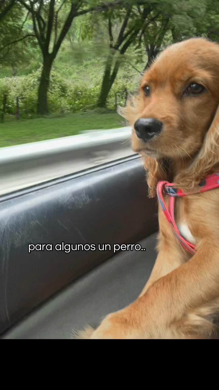 @Angie Naranjo