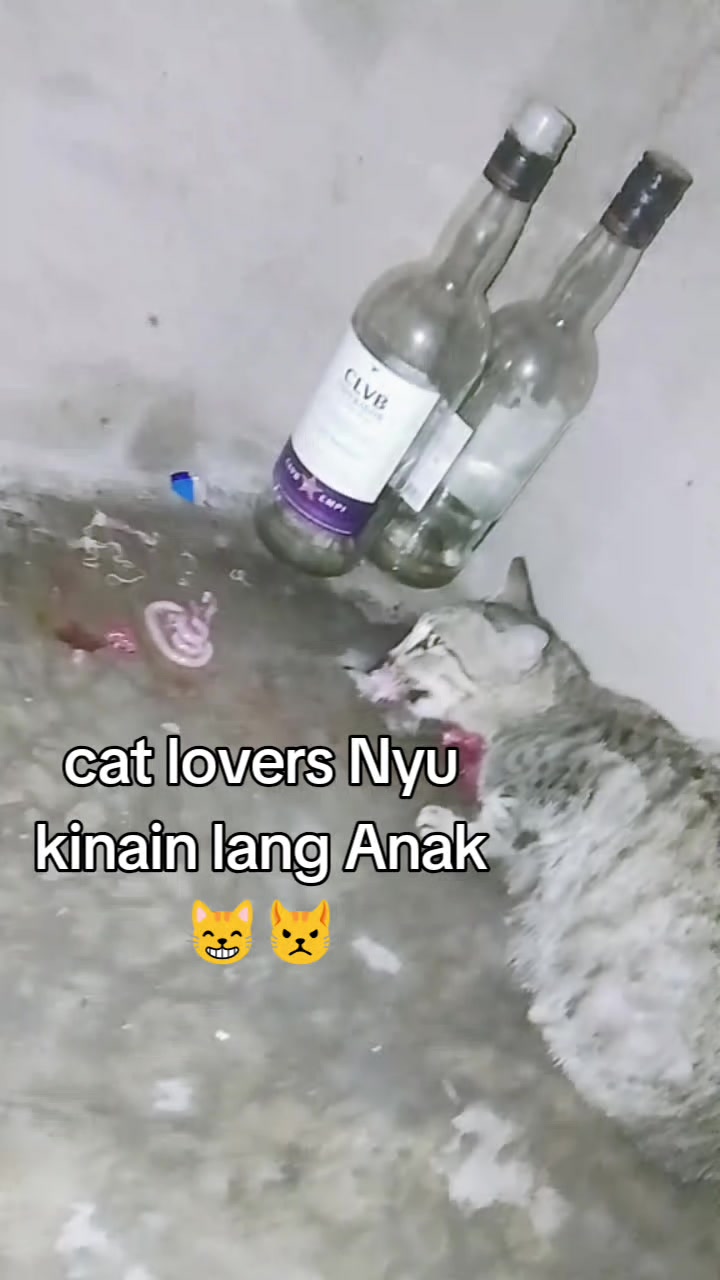 @Arneil'Nganii🫵😜