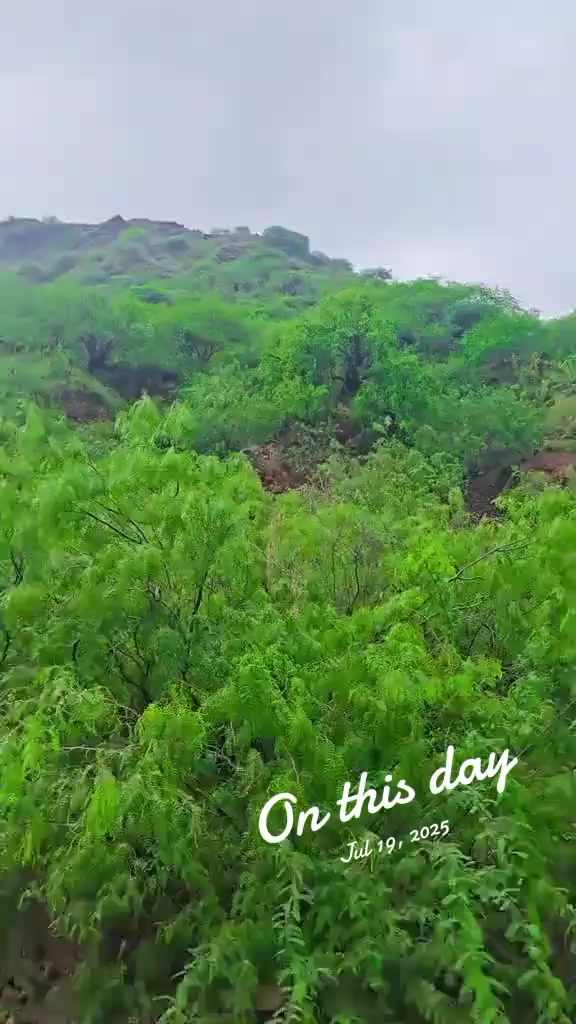 @faizali