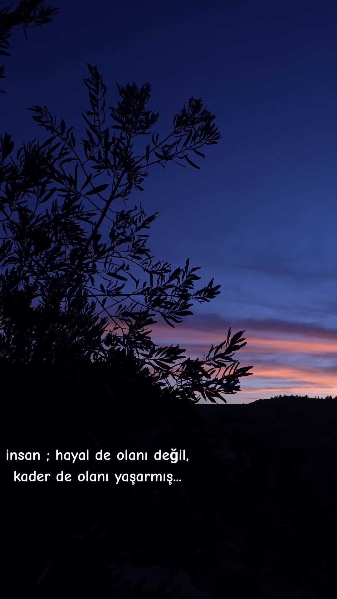 @İsmail Demir ⚡️