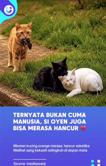 @hiburanlayarsentuh
