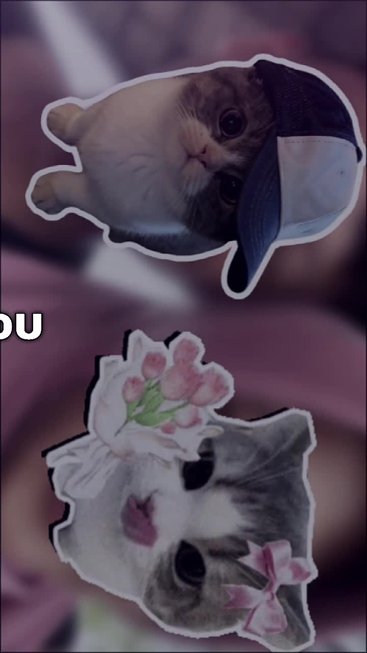 @Ditzhahahihi๏ฃฟ