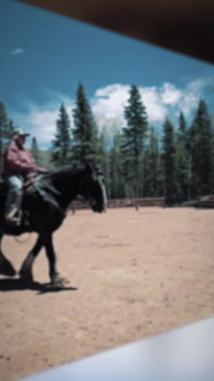 @🐎 ᔕᒪEEᑭY ᕼOᒪᒪOᗯ ᕼOᗰEᔕTEᗩᗪ 🐎