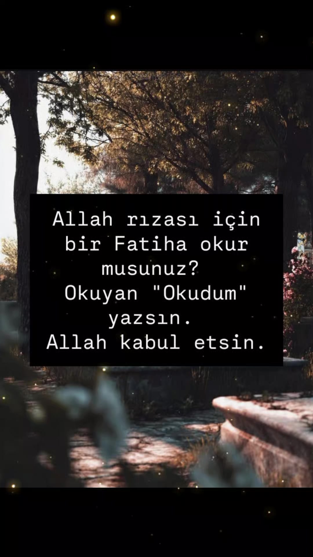 @Ferhat.Akdeniz