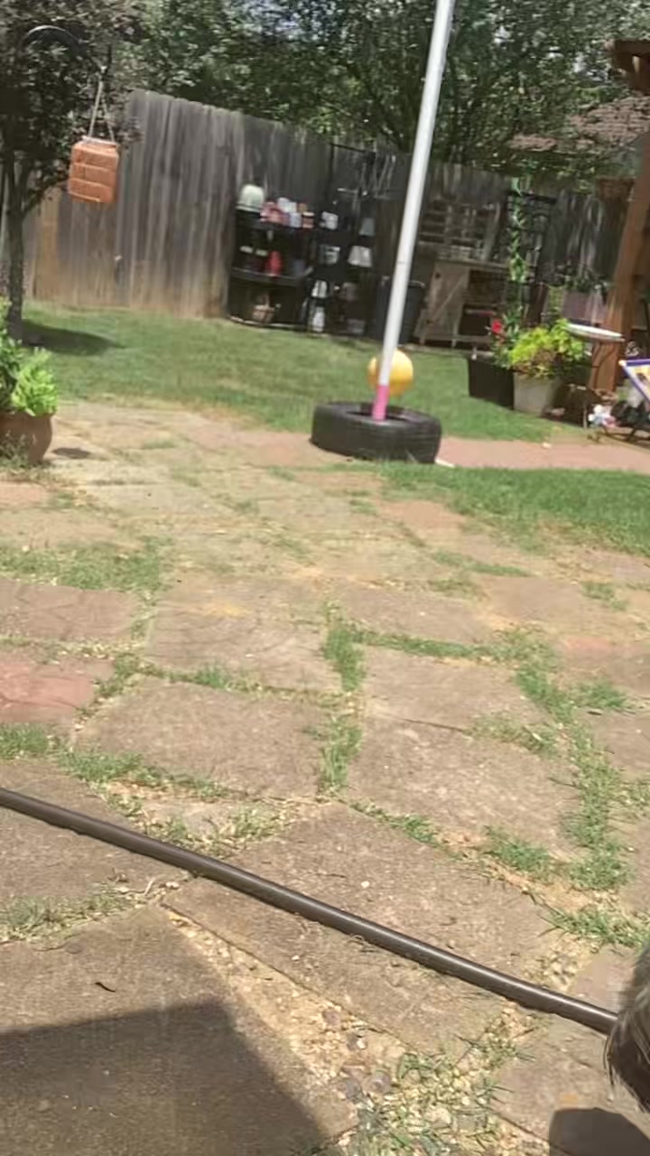 @tristyn8454