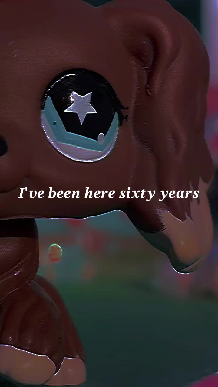 @Husky