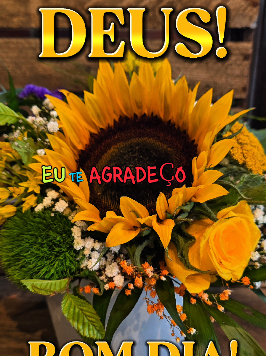 @PromessadeDeus91