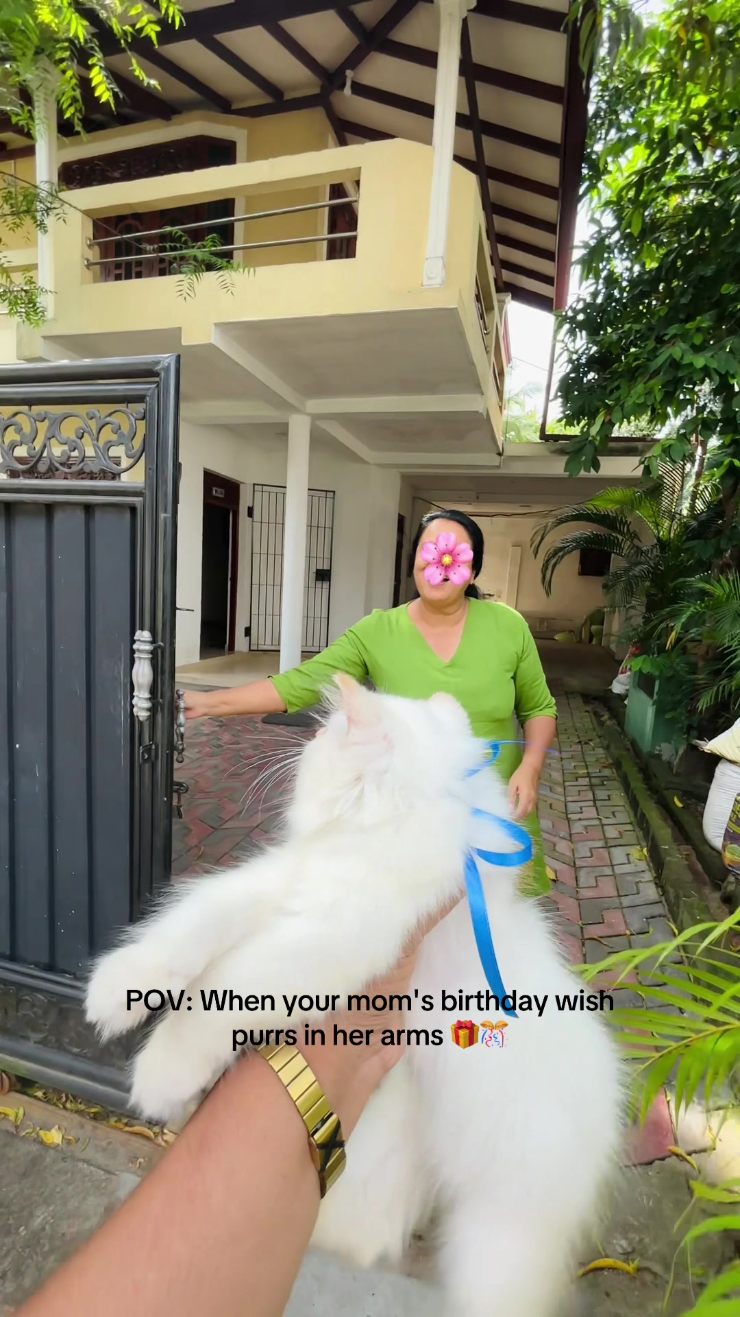 @Pinky Paws