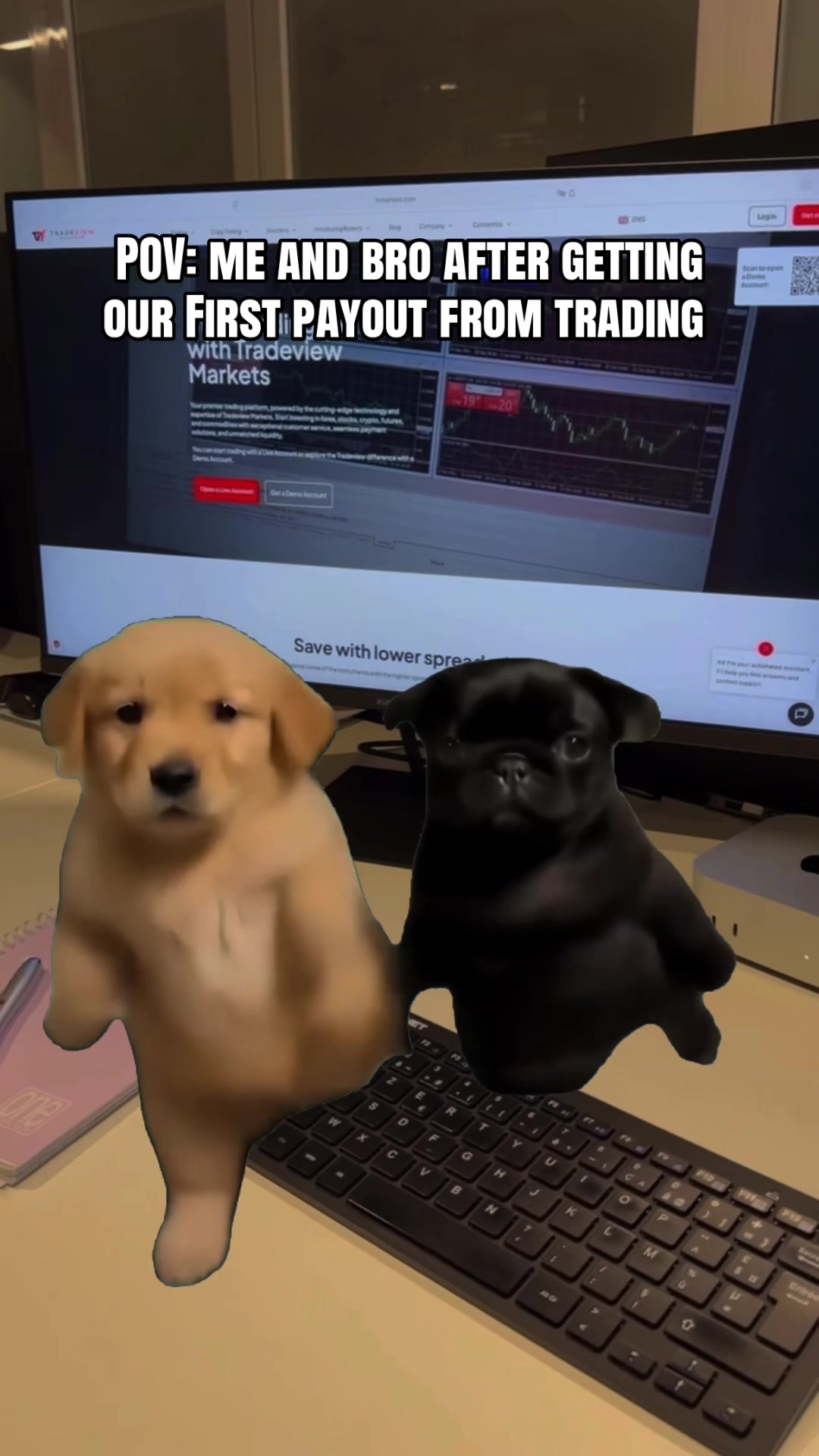 @Tradeview Markets