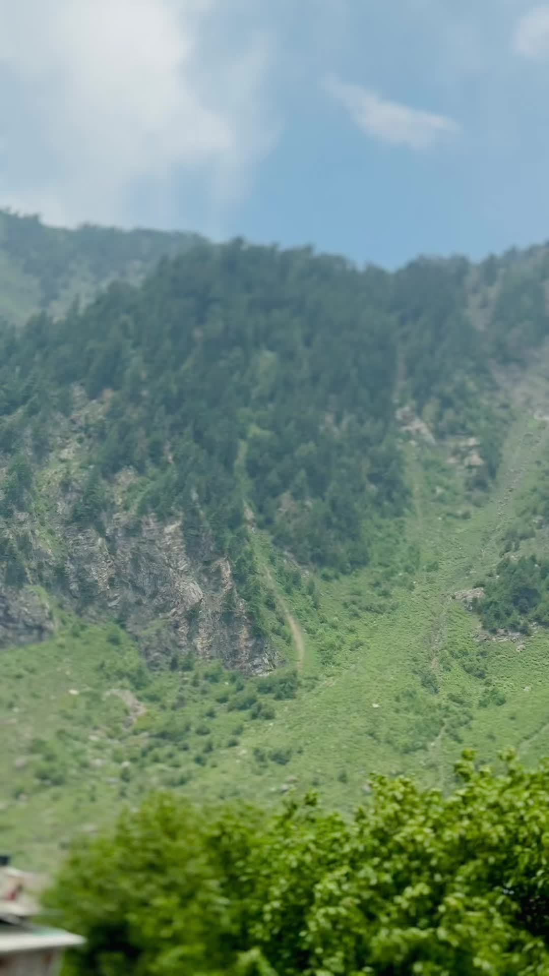 @شارم ساہی🦅👑