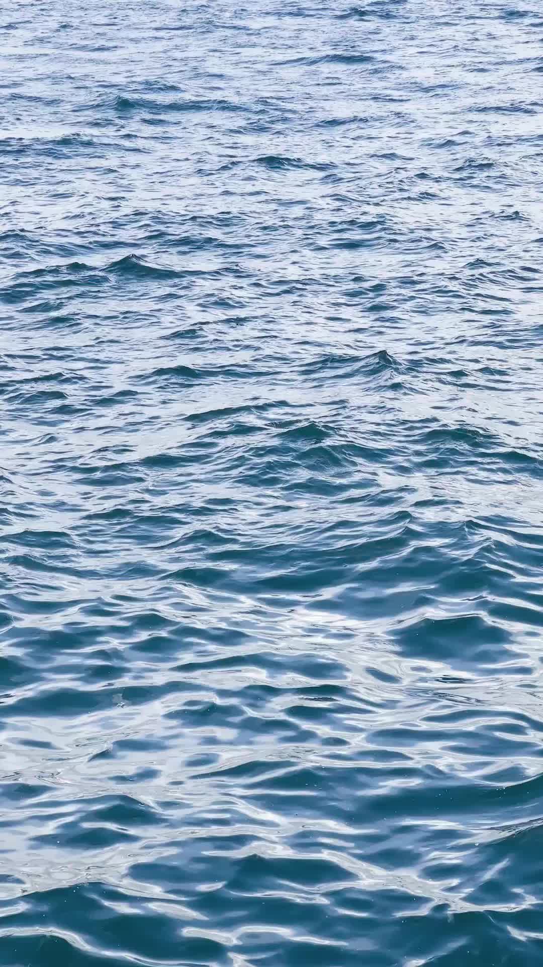 @PureToneTherapy