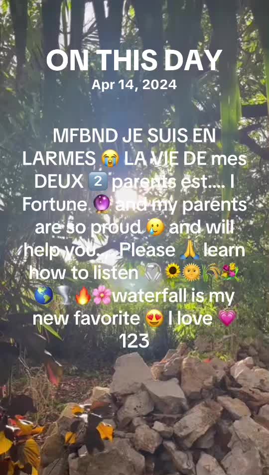 @Neite@Decimus.Papillonvert