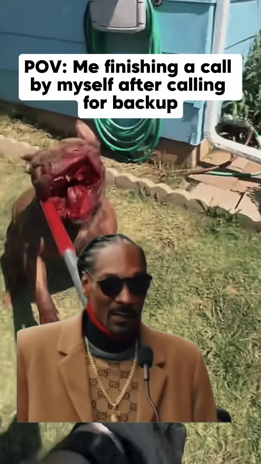 @AnimalWelfareGuy