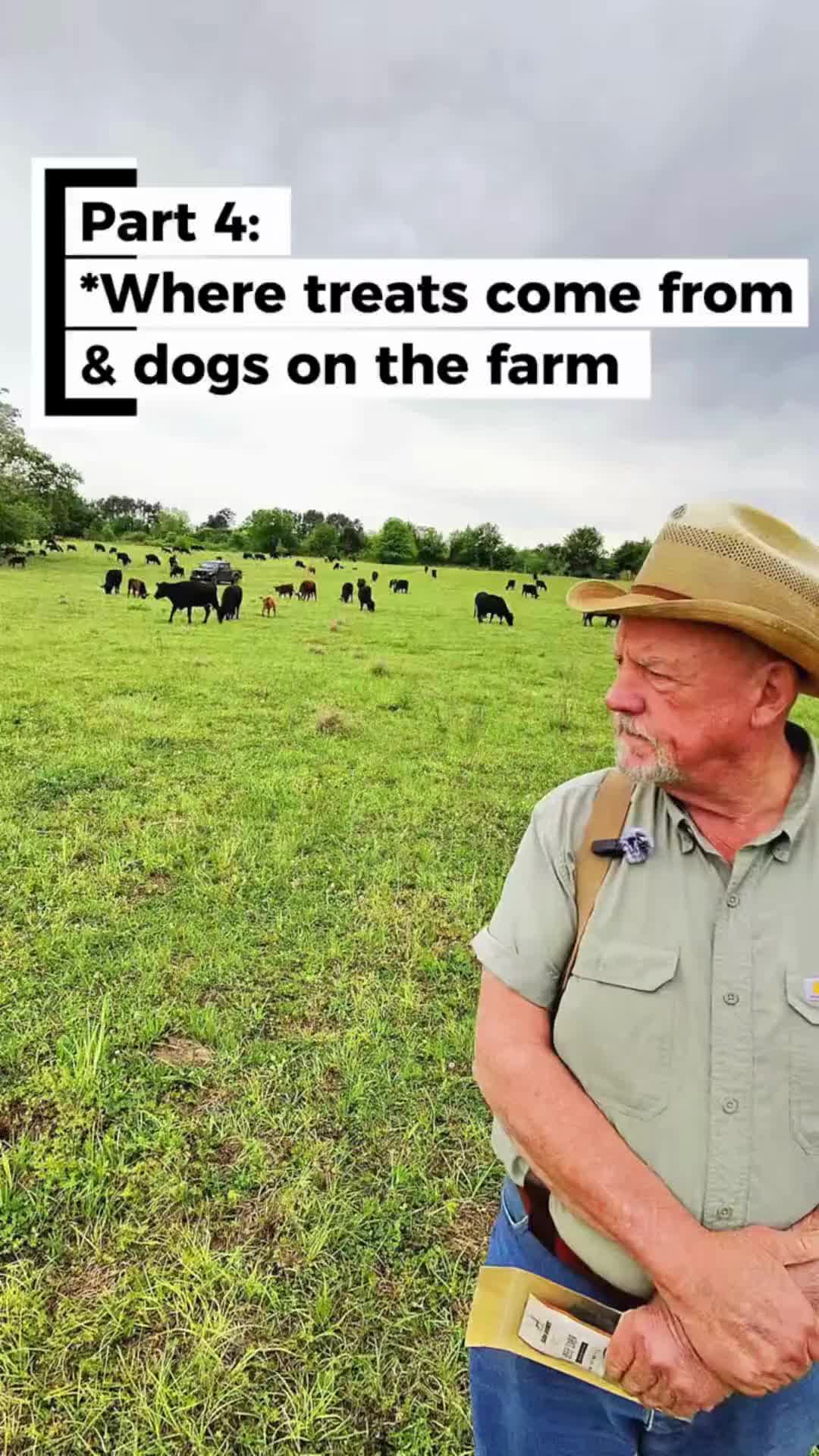 @Farm Hounds Treats