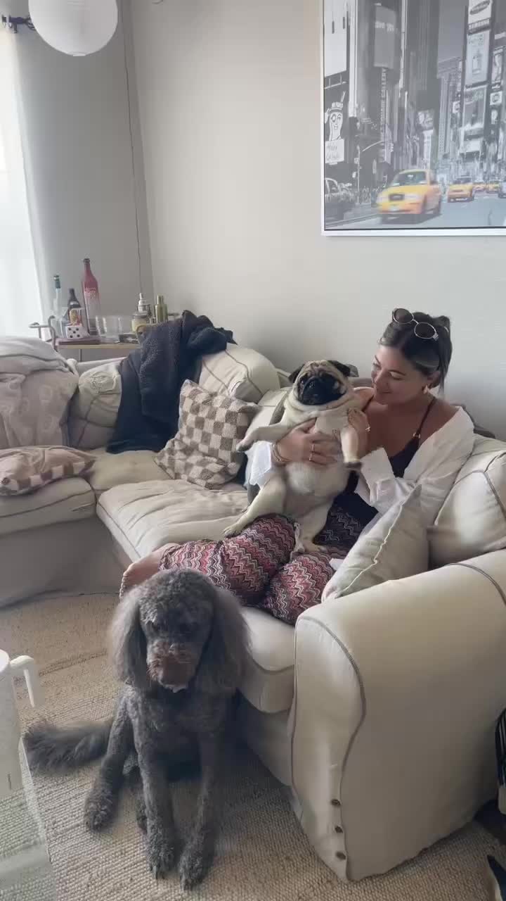 @PUGNAROUND