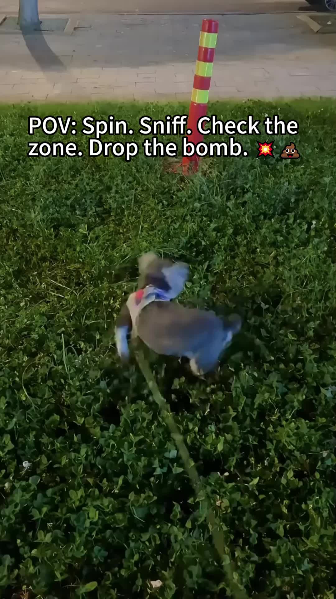 @petpro69