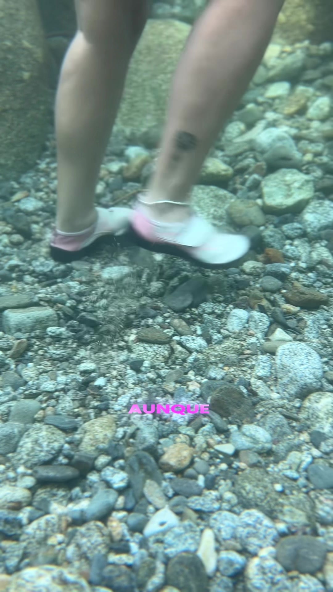 @🌺 𝓘𝓿𝓪𝓷𝓬𝓪 🌺
