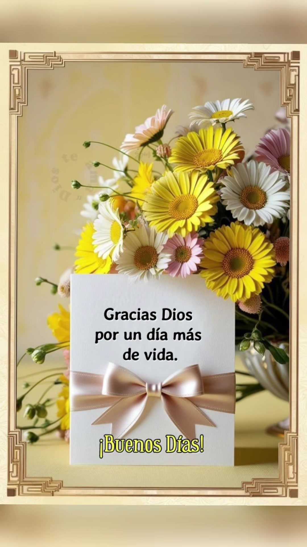 @elvirasvg