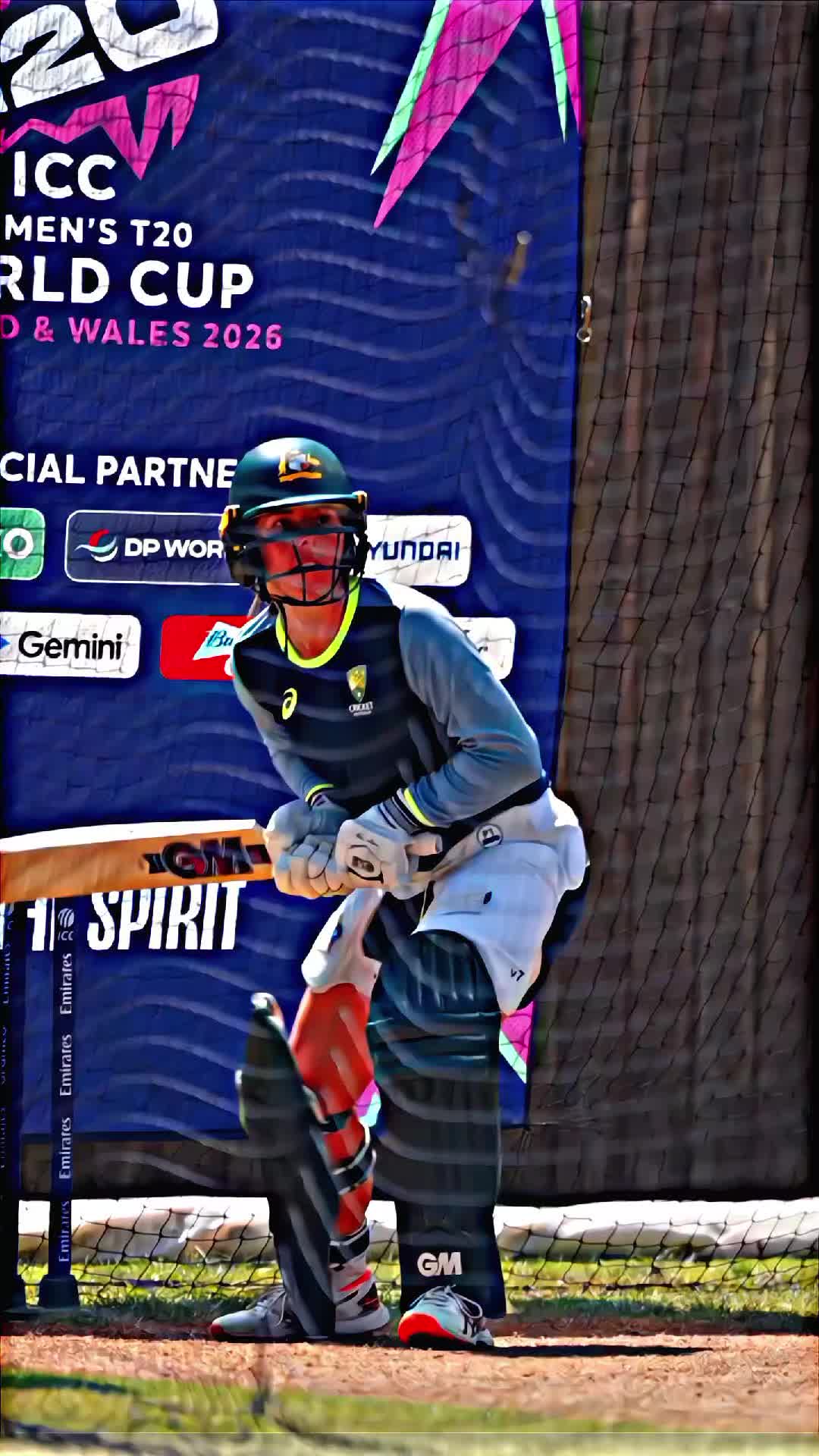 @Ellyse perry
