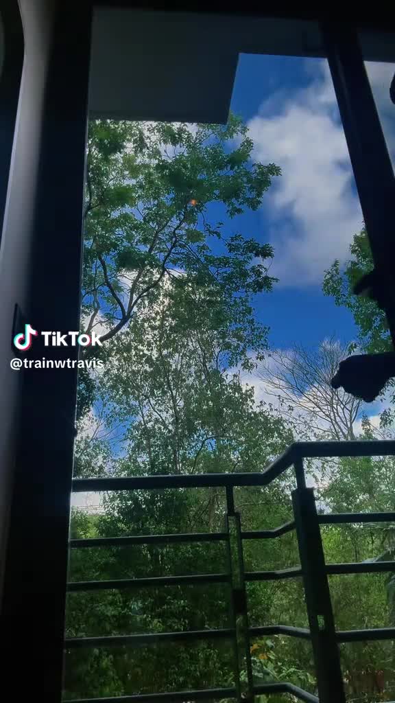 @Bootykon