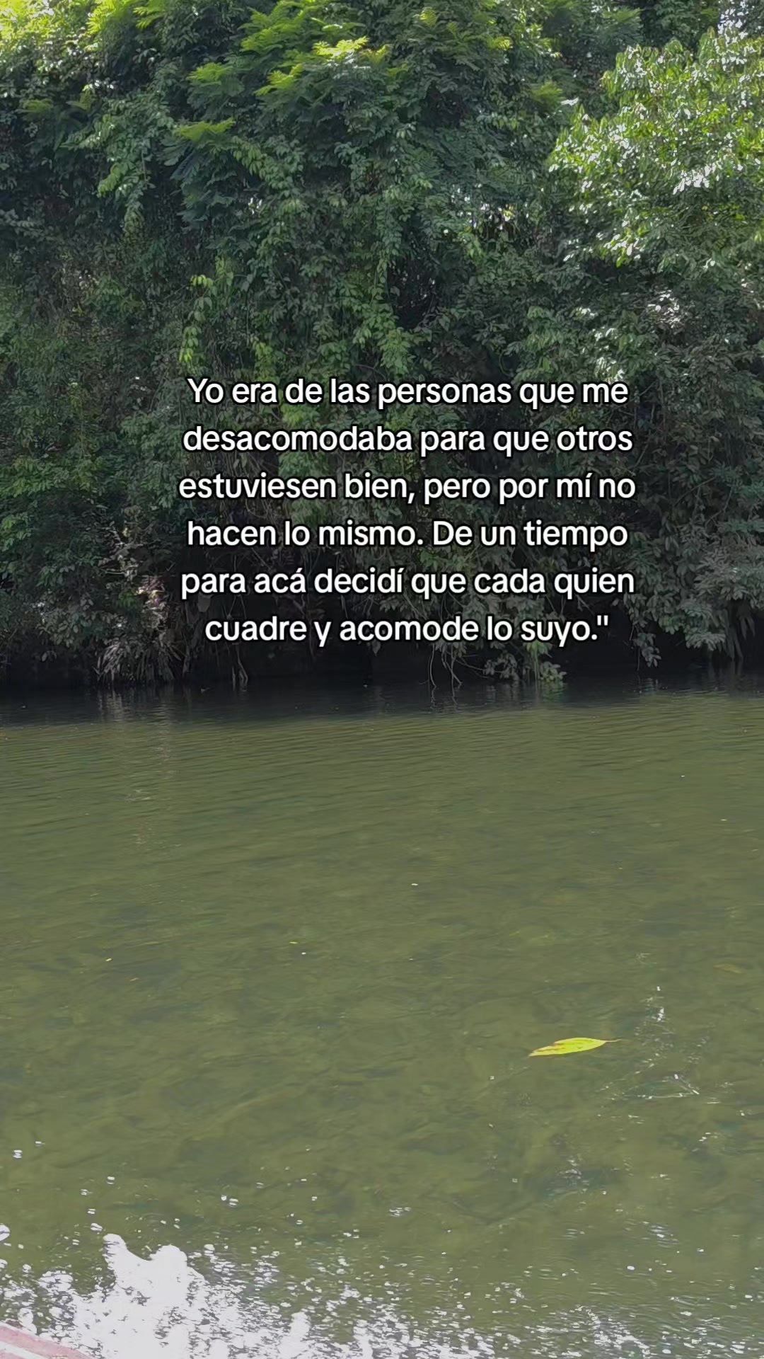 @🌸LUCHI🌸