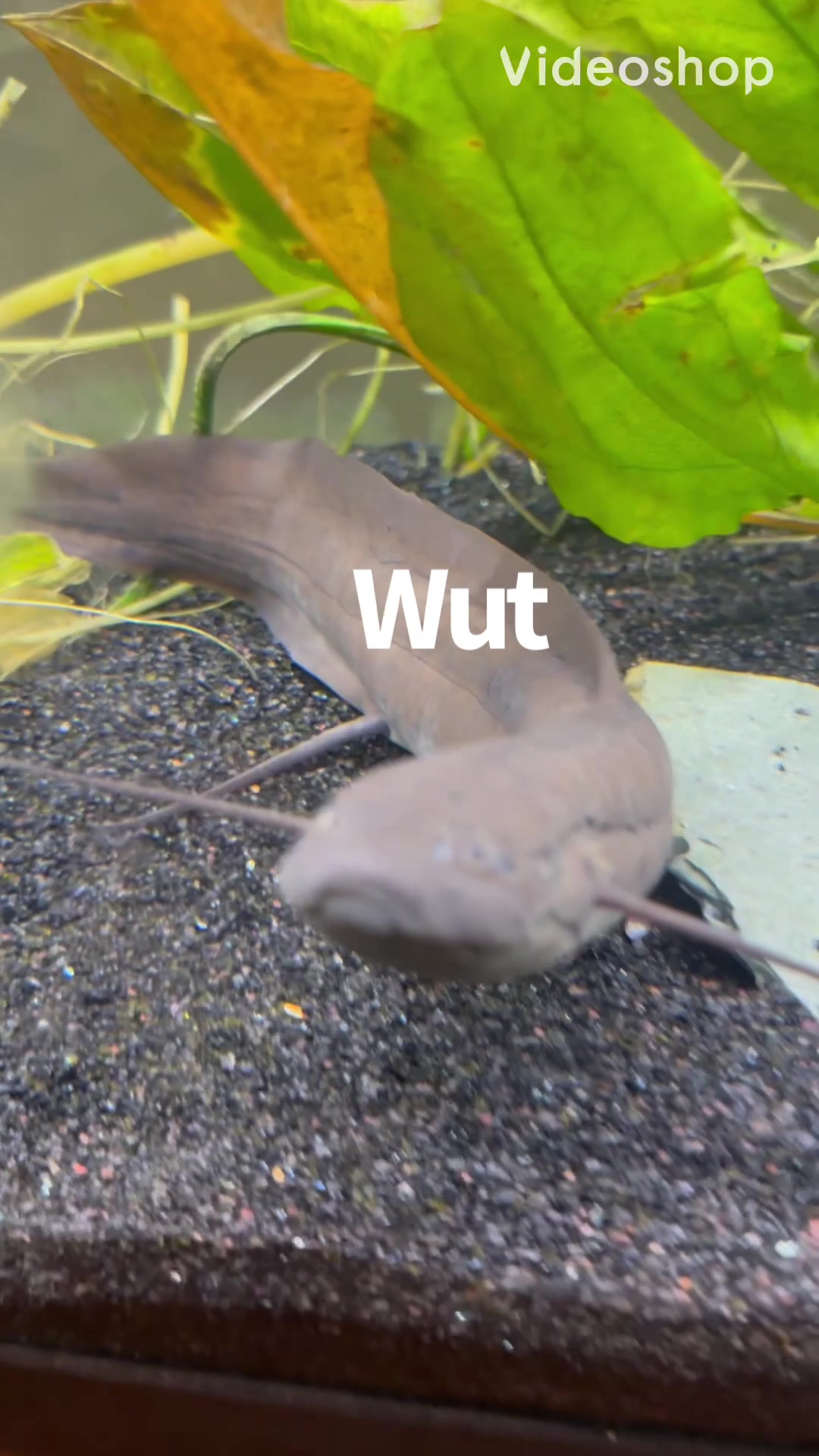 @fishdaddy2002