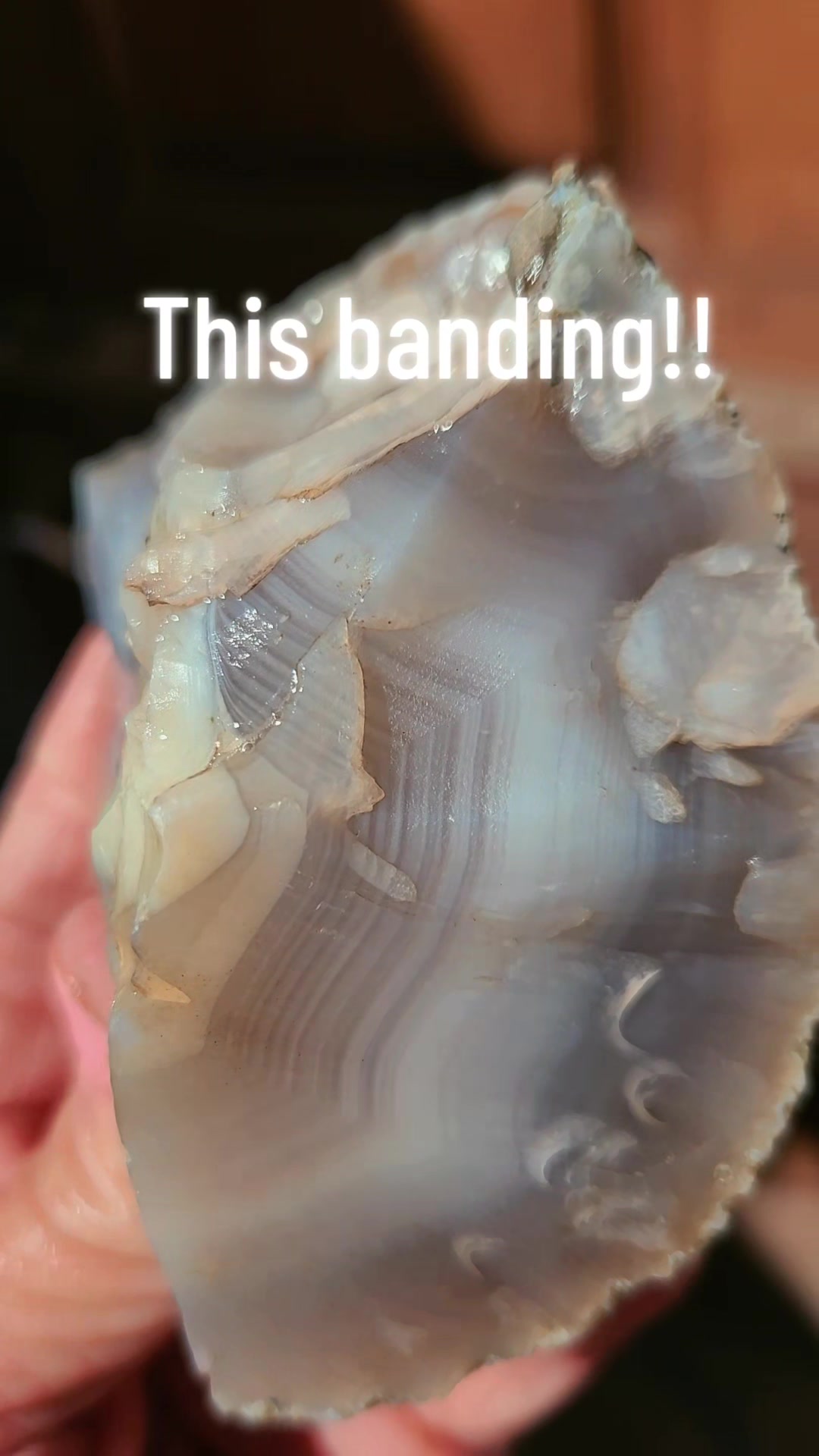@EarthyFinds