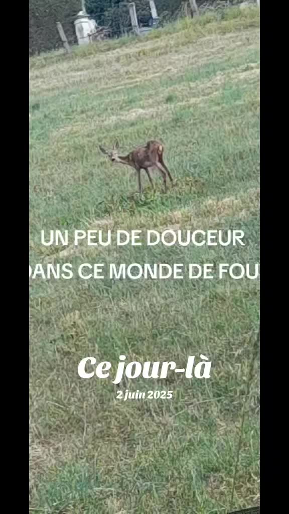 @christele62