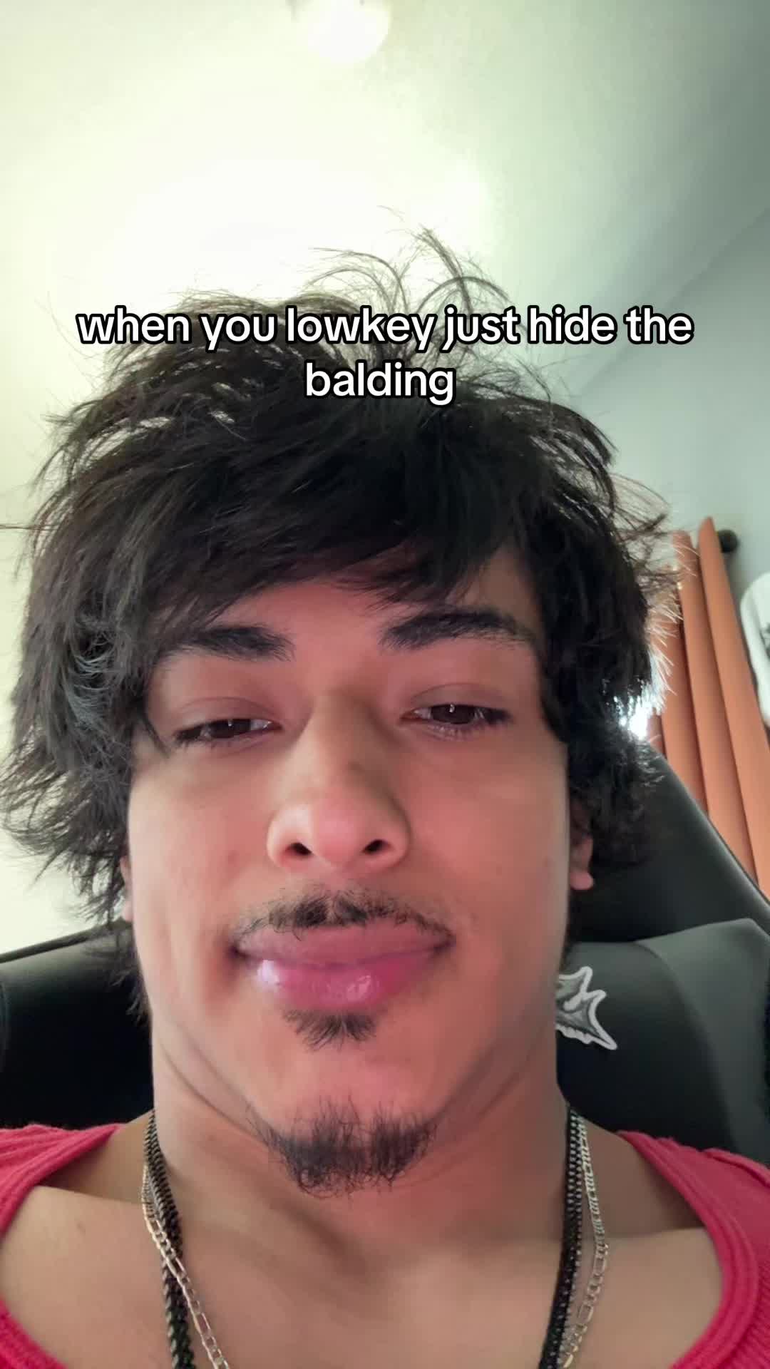 @ant 🐤