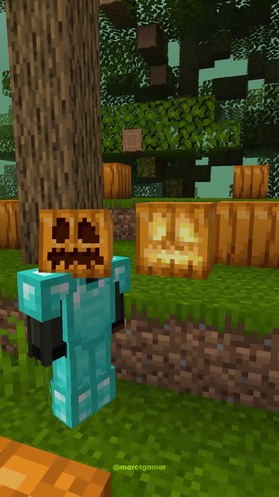 @marctgamer
