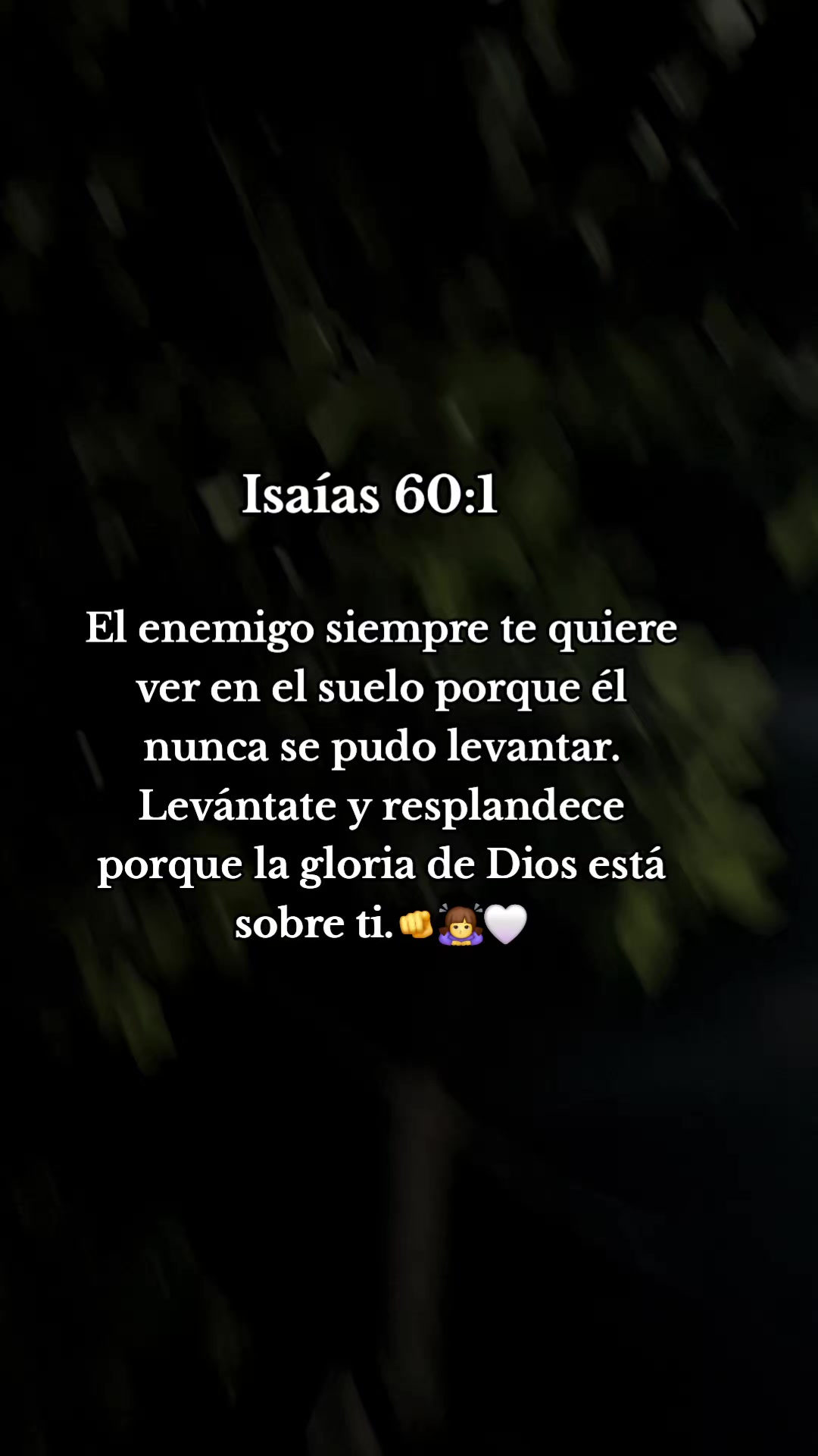 @🖤yare mtz🖤