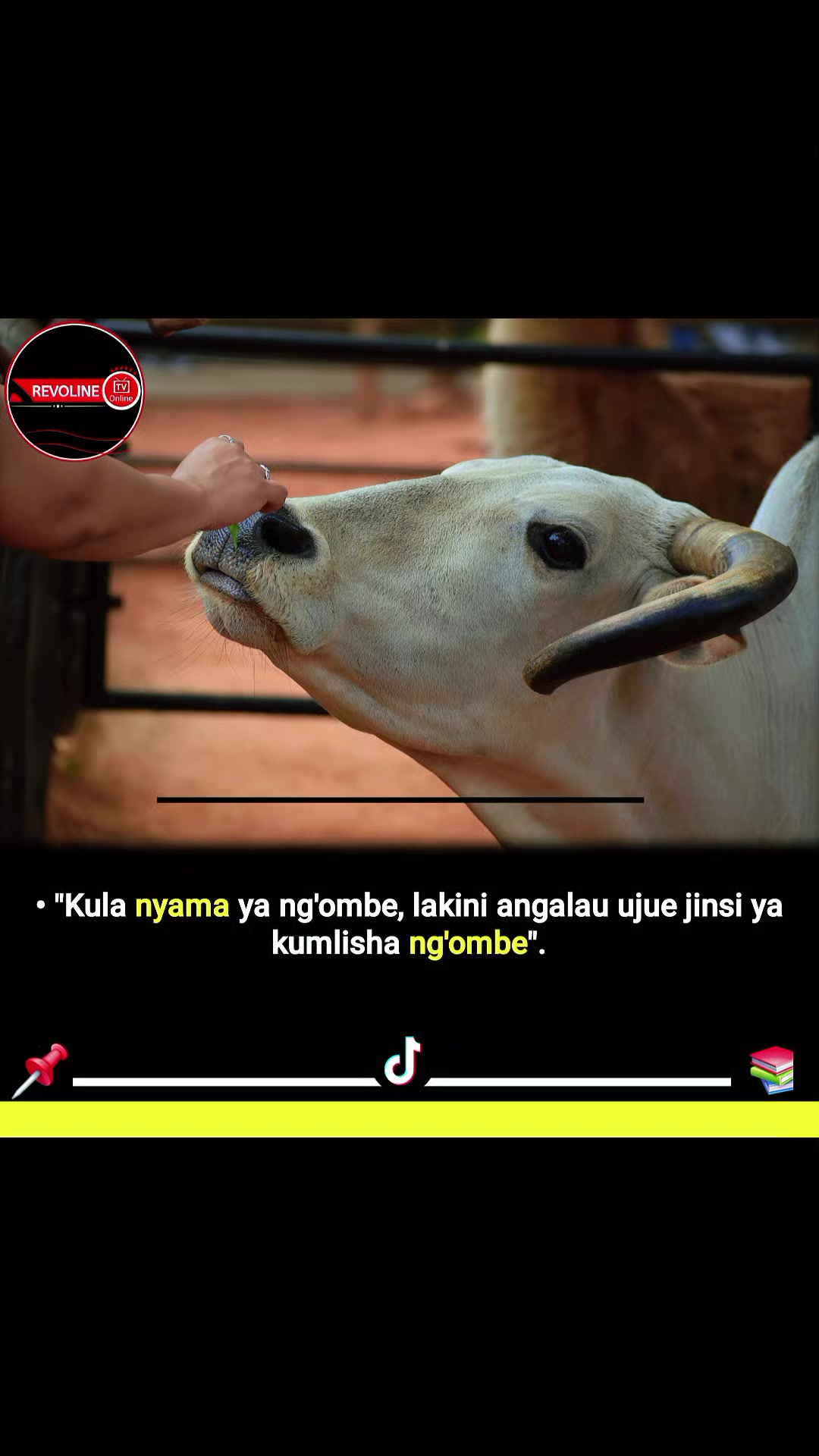 @Revoline Tanzania