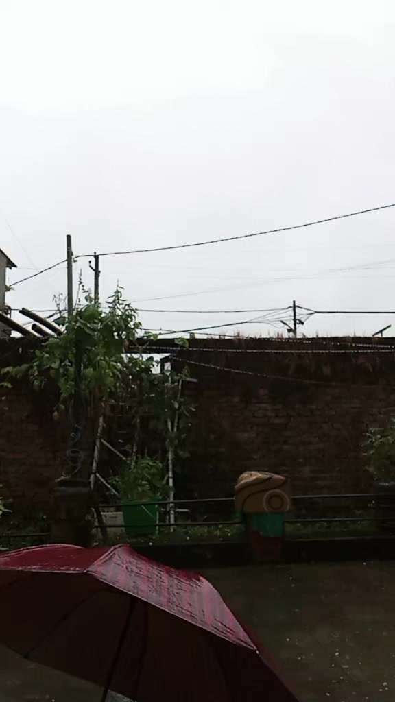 @Bhagwati Lama
