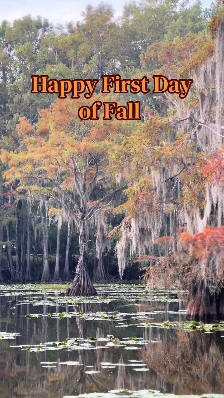 @Caddo Lake FirstCastCabin