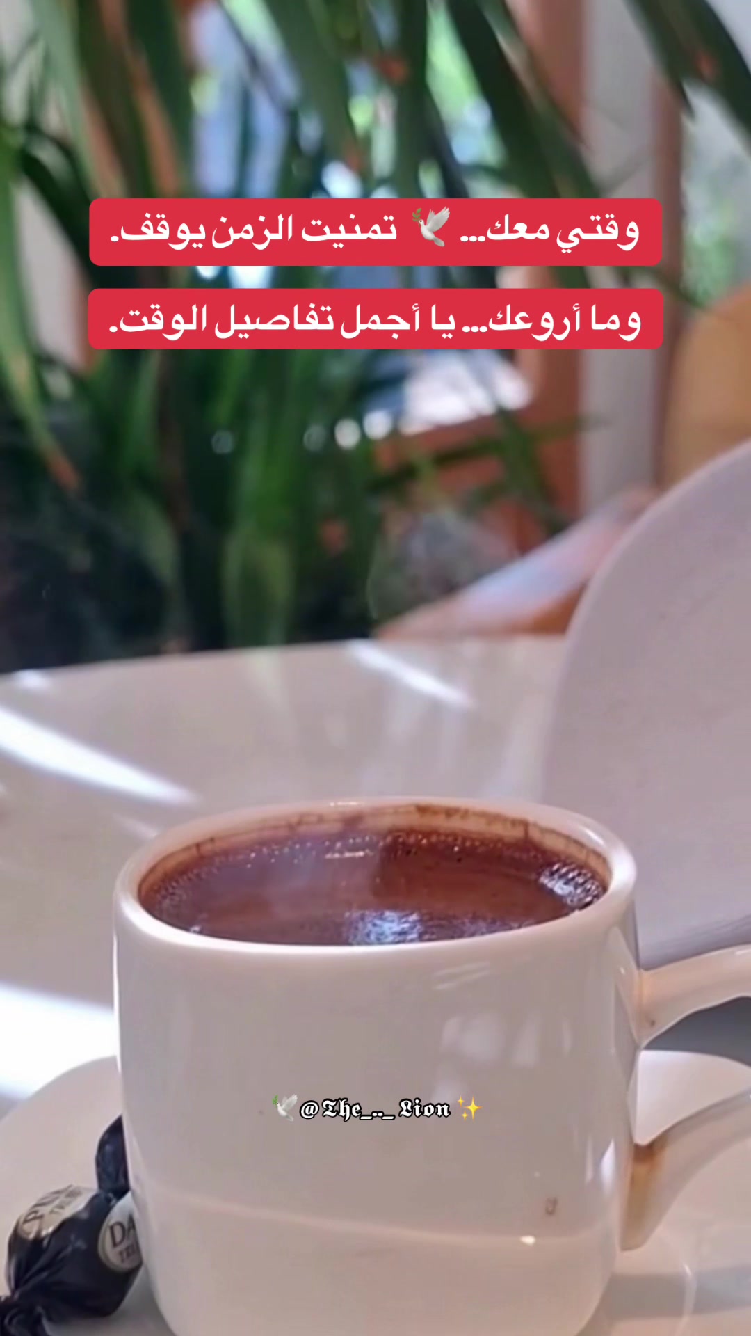 @The Lion 🪽 خاطره في دفتري