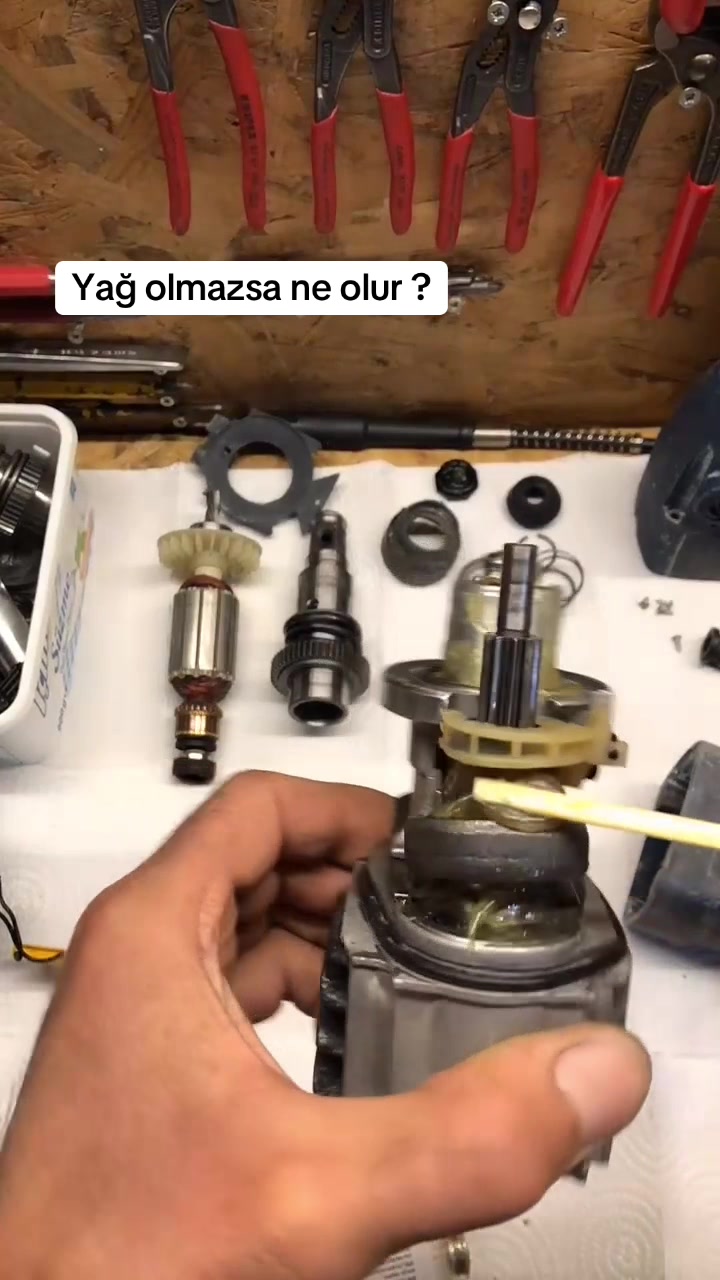@Sinan Baykuş