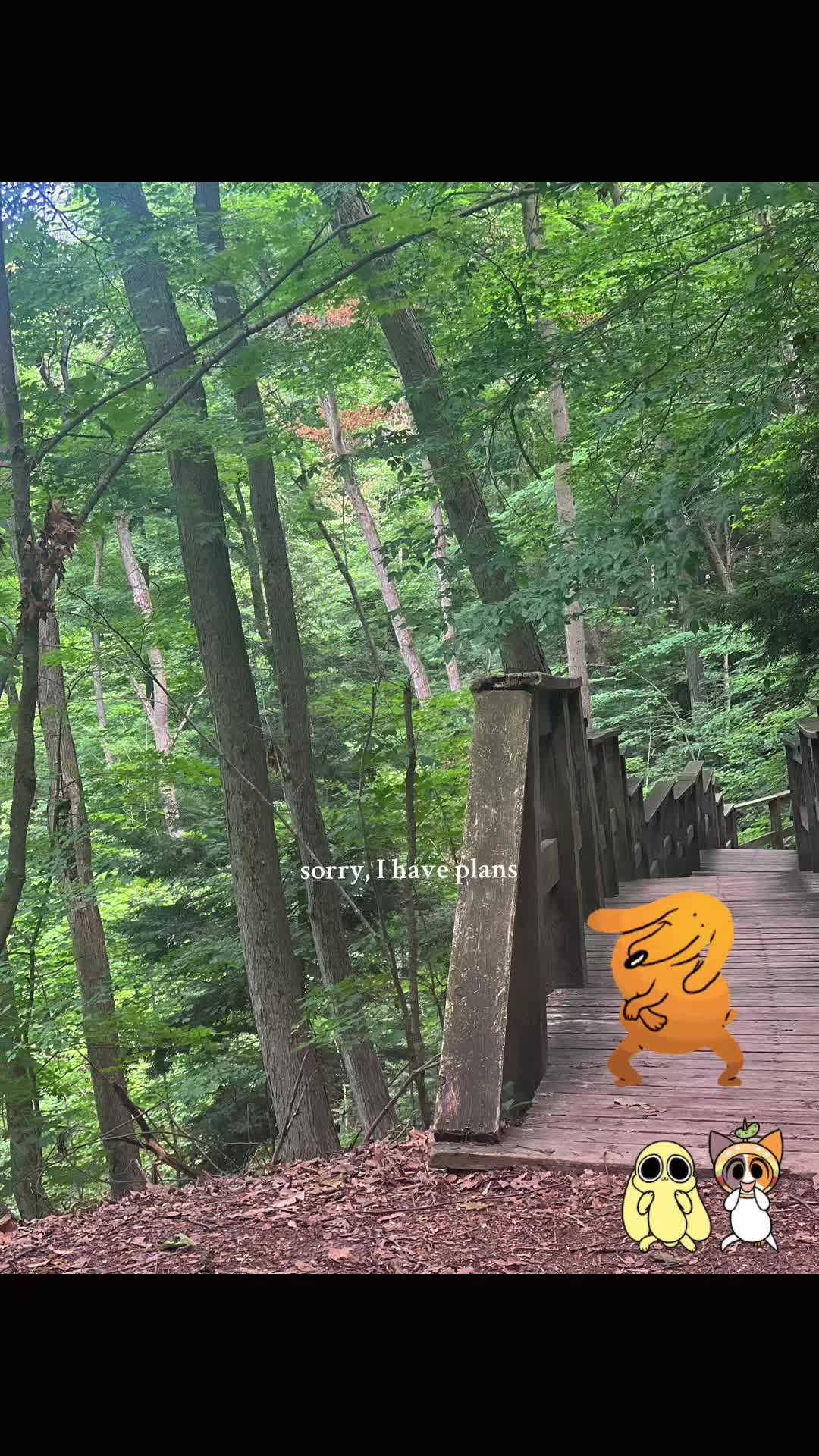 @bekxbearproductions