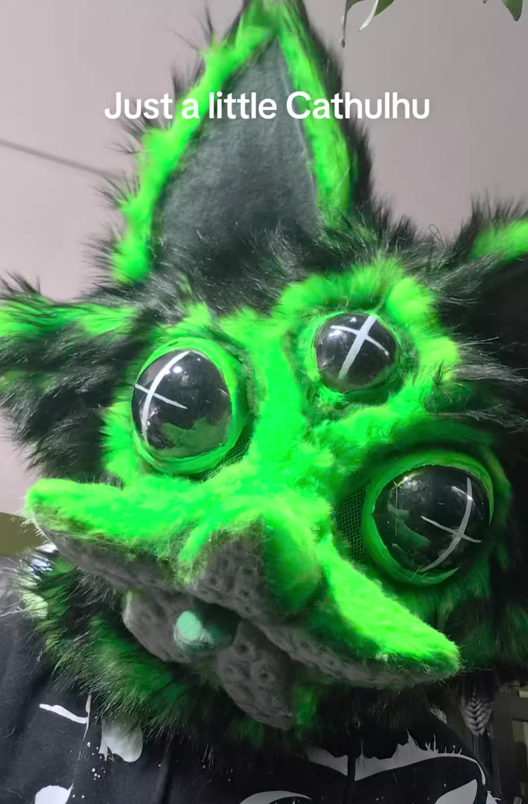 @🪲 🦠Moldy Pickles 🦠🪲