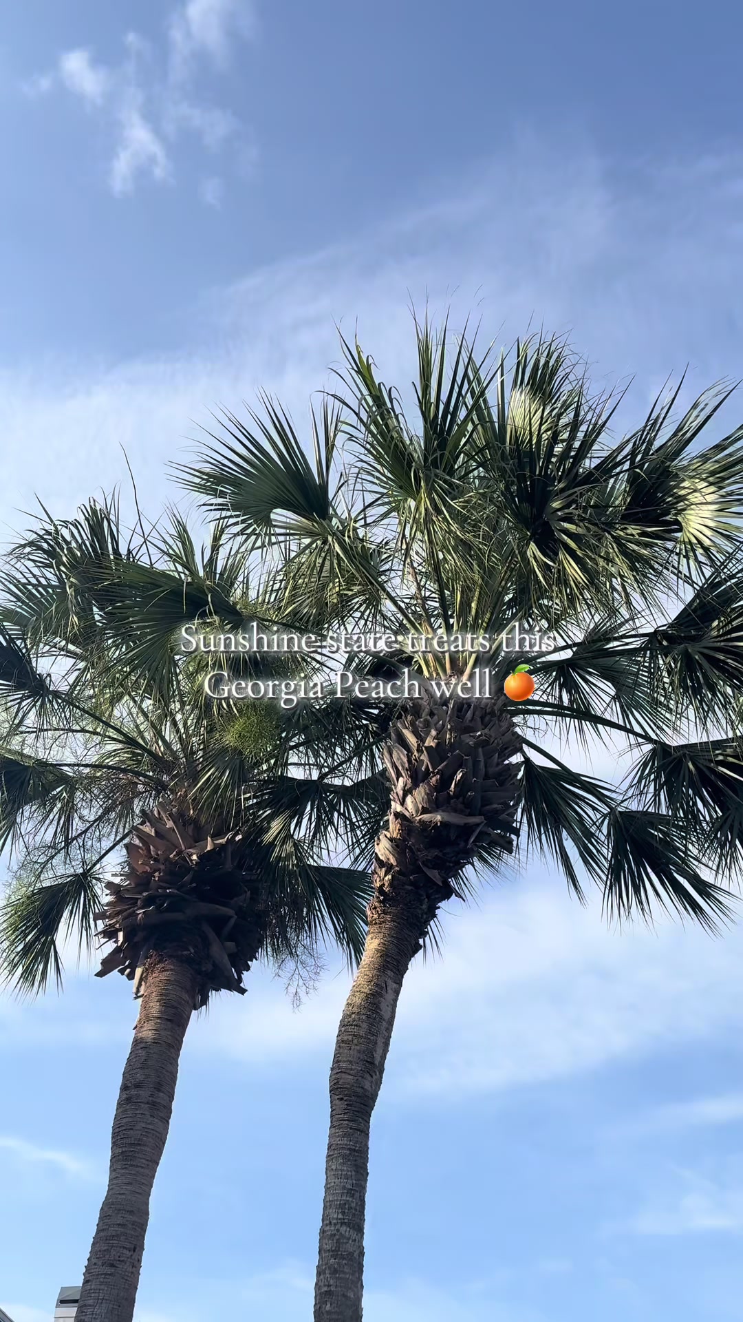 @YT: NaturallyShareda
