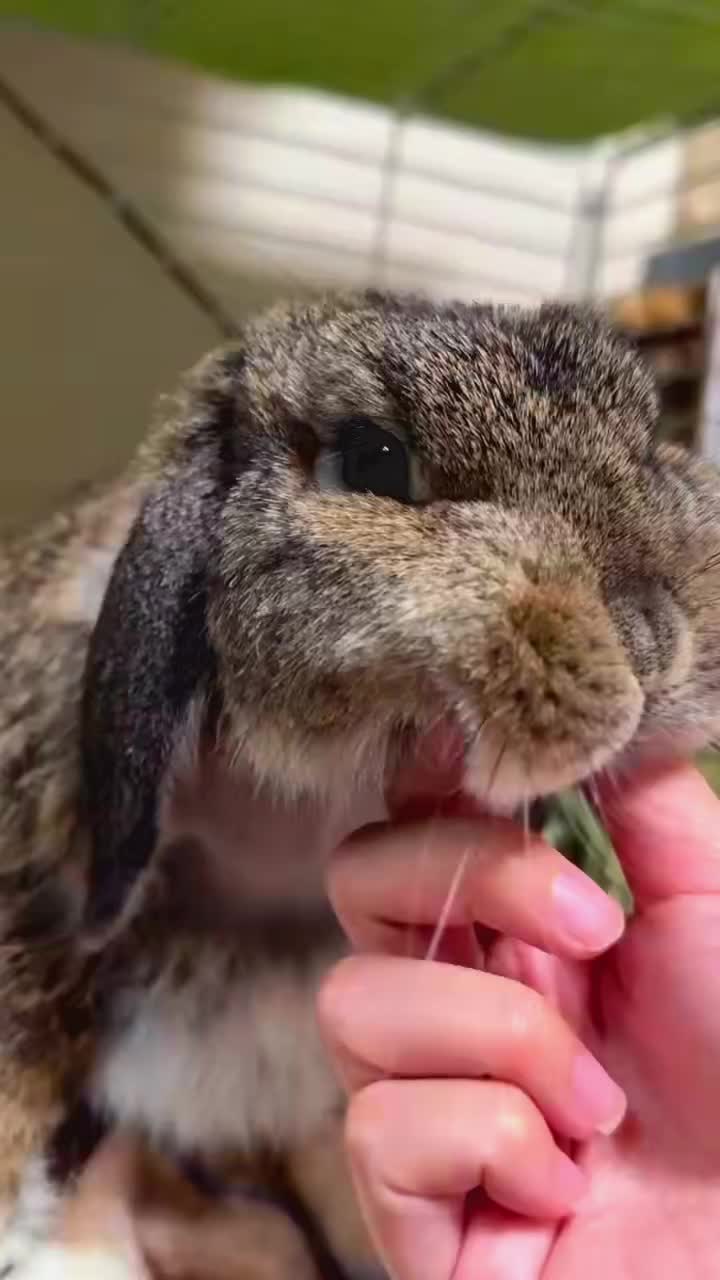 @-_-