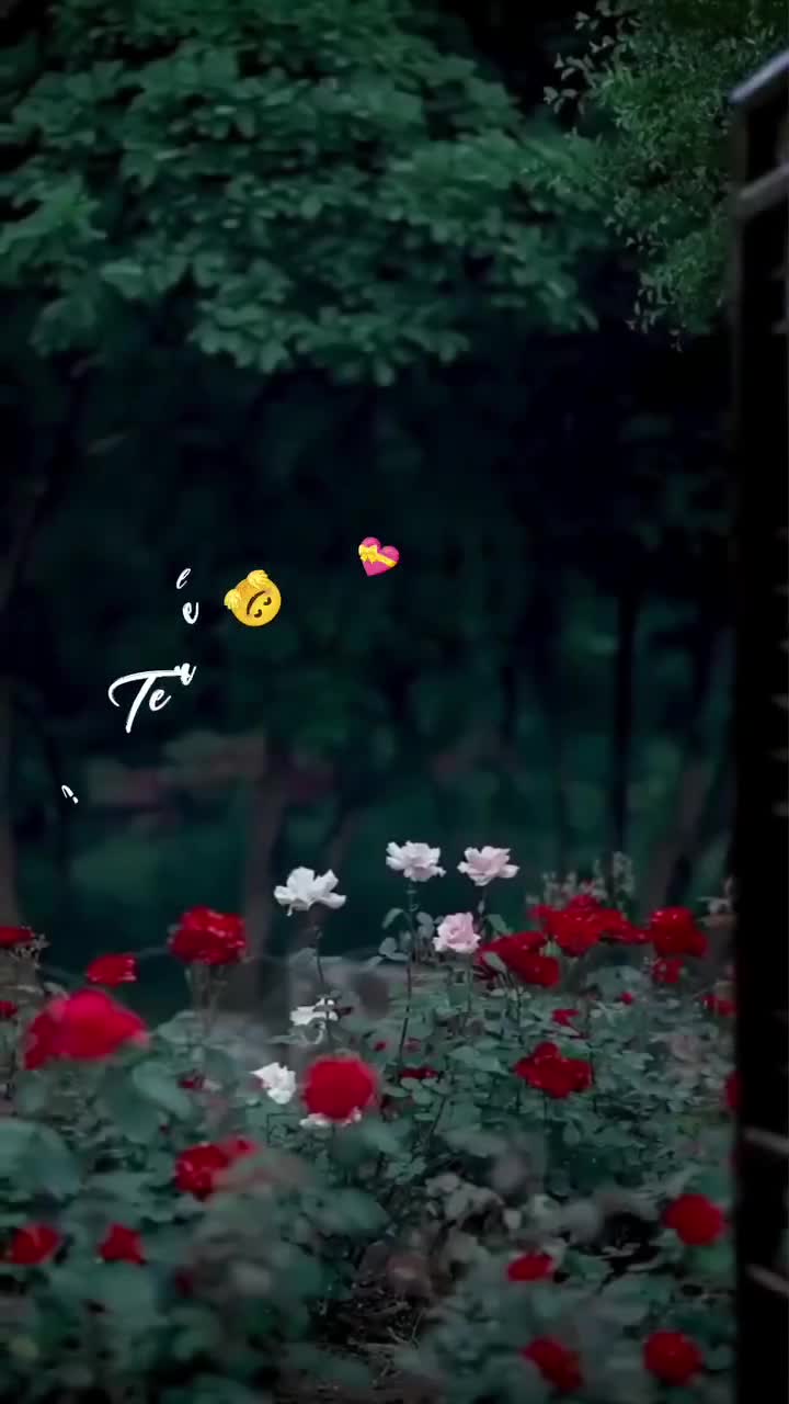 @serene_terriona
