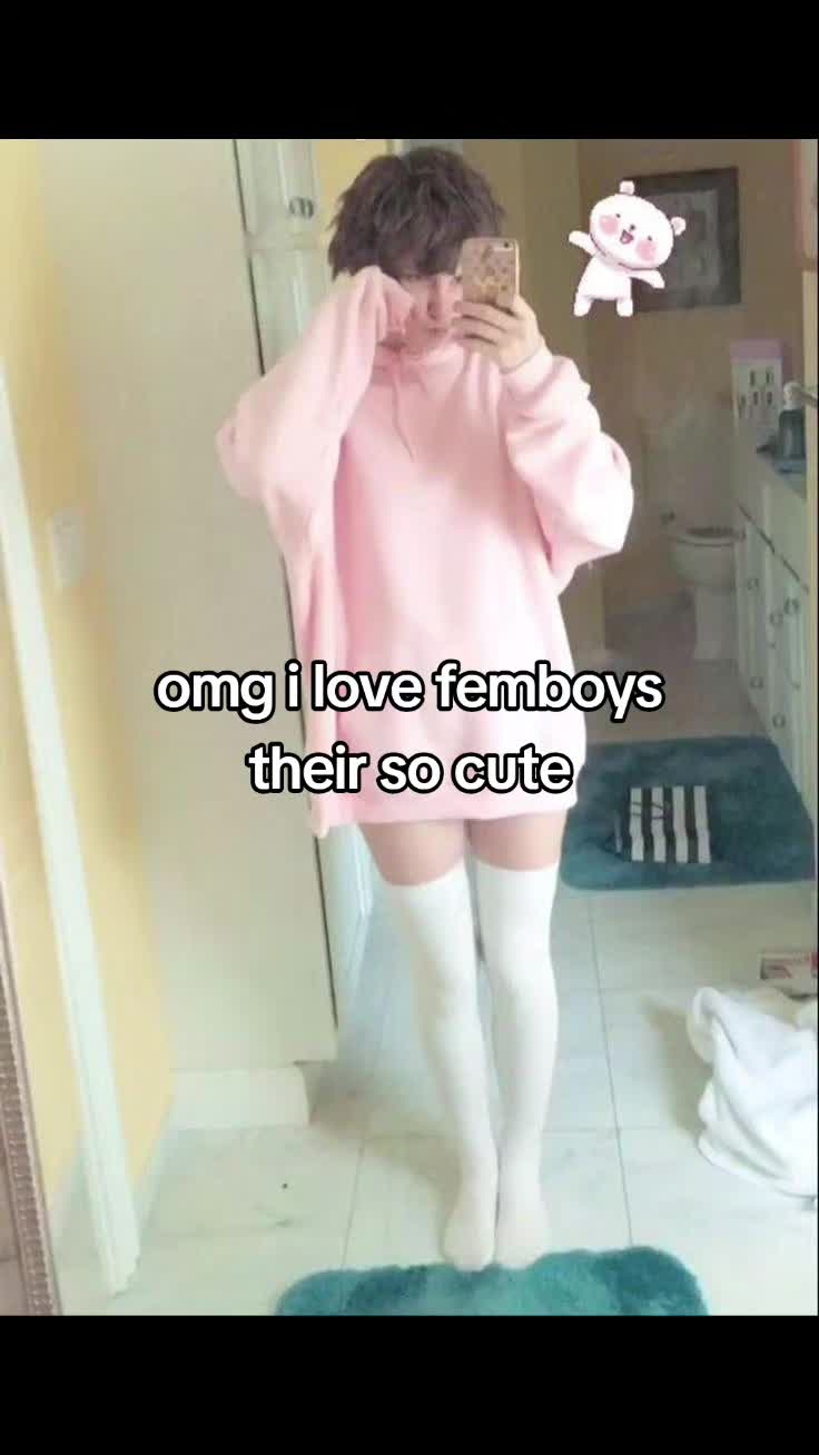 @munchkincatboy