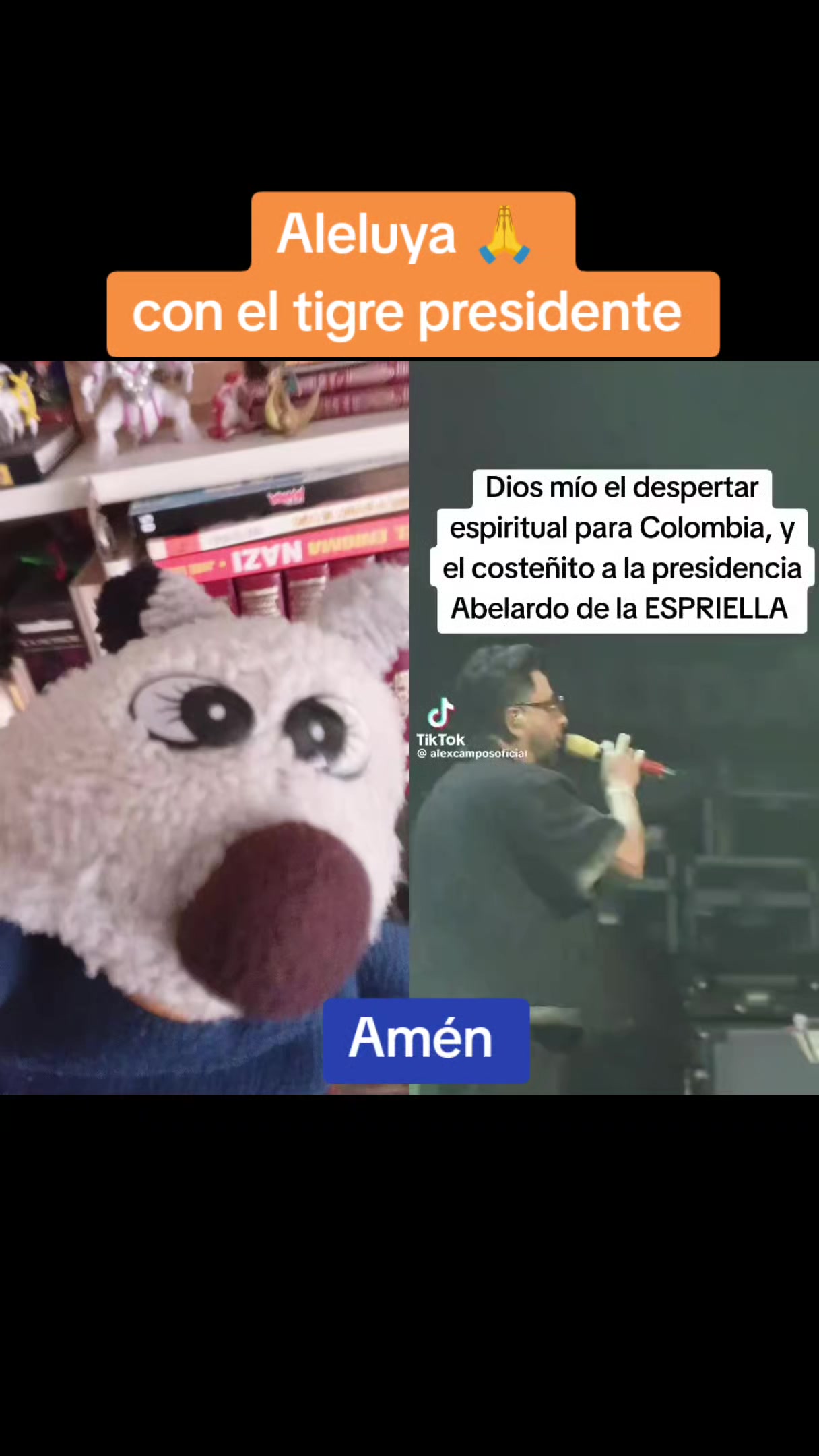 @Noticias zorrito