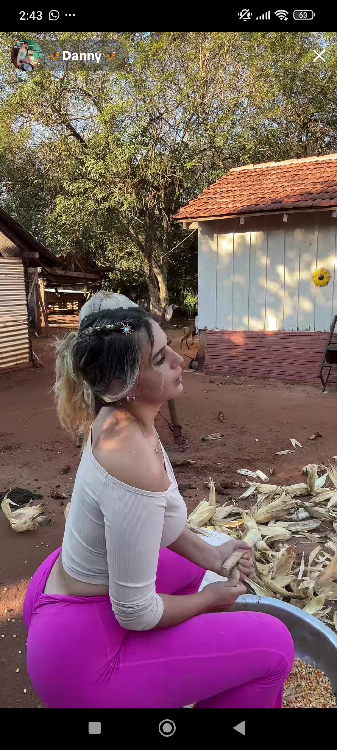 @estelar